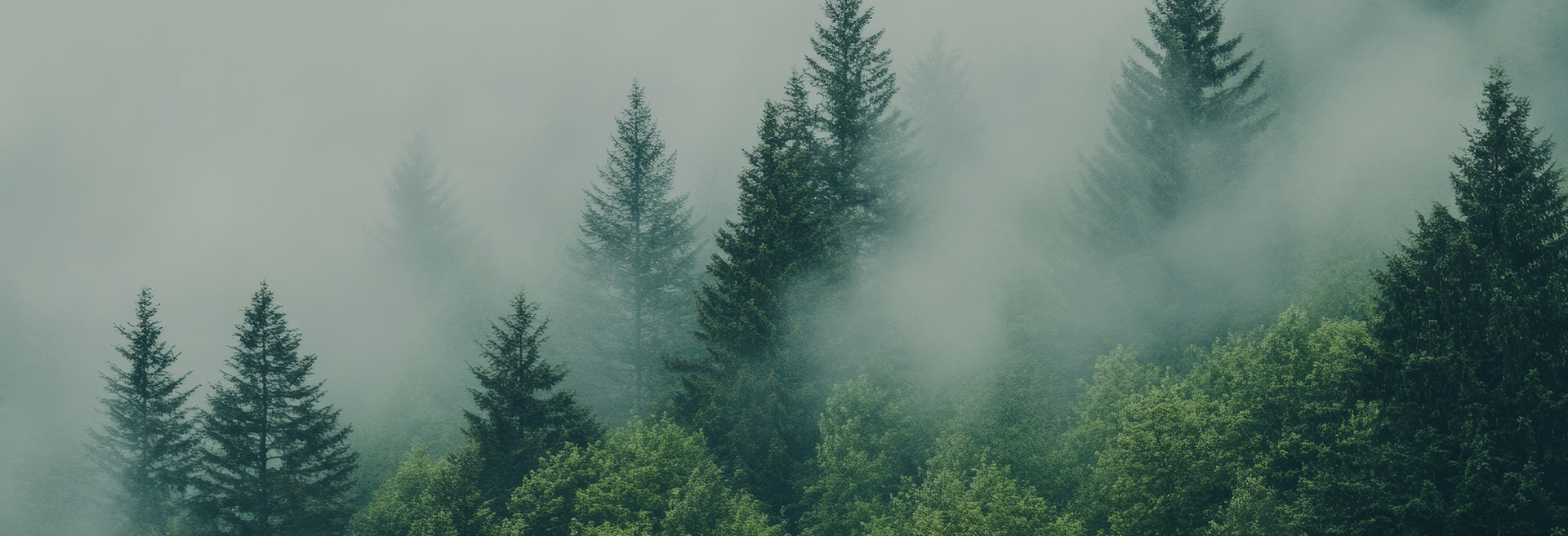 Dongyangshi Menghui Textile Co., Ltd.